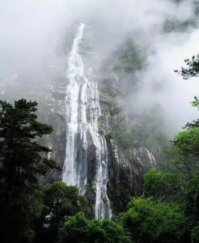 迷失在荒野